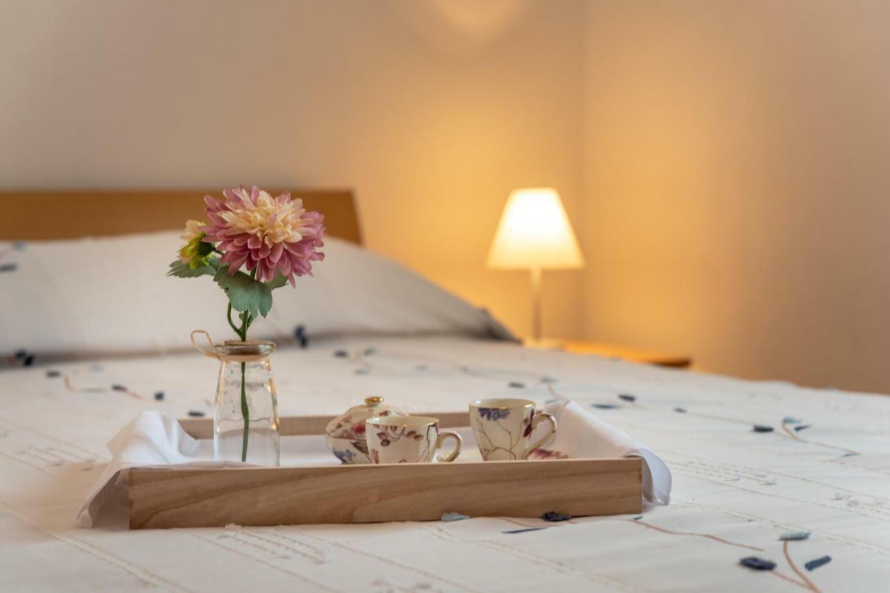 Apartments Villa Jelena Сегет Враница Екстериор снимка